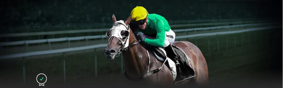 西部飞跃助,青年志愿服,务共促高质,新葡京,新葡京app,新葡京娱乐,新普京赌场